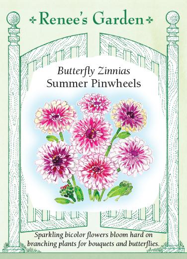 Zinnia Summer Pinwheels