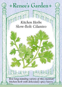 Cilantro Slow Bolt
