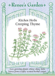 Thyme Creeping