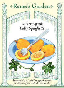 Squash Winter Baby Spaghetti