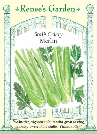 Celery Stalk Merlin
