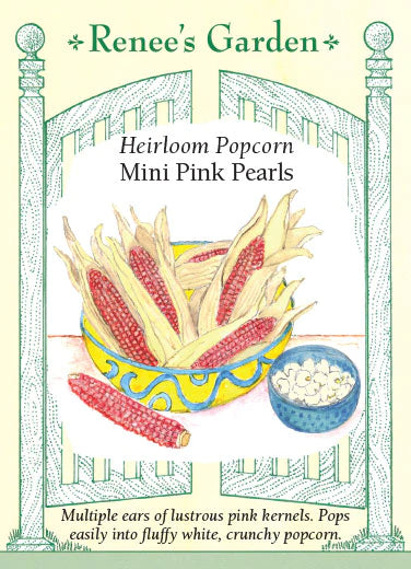 Corn Pink Pearls Mini Popcorn