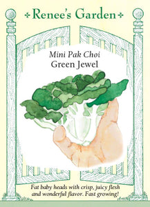 Pak Choi Green Jewel Mini
