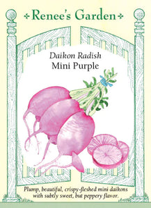 Radish Daikon Mini Purple