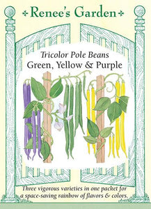Bean Pole Tricolor