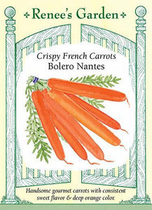 Carrot French Nantes Bolero