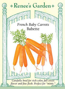 Carrot French Baby Babette 