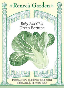 Pak Choi Baby Green Fortune