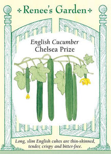  Cucumber Chelsea Prize