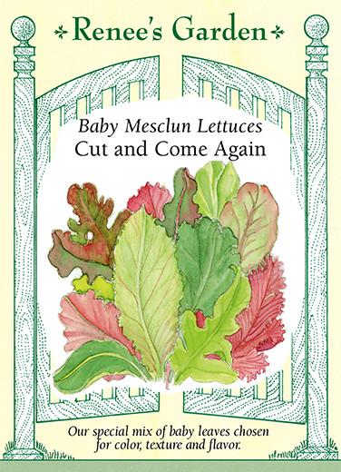 Lettuce Baby Mesclun Cut & Come Again 