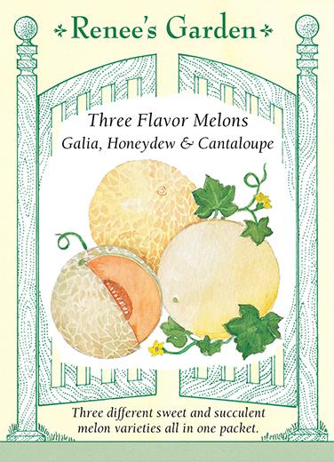 Melon Three Flavor Mix