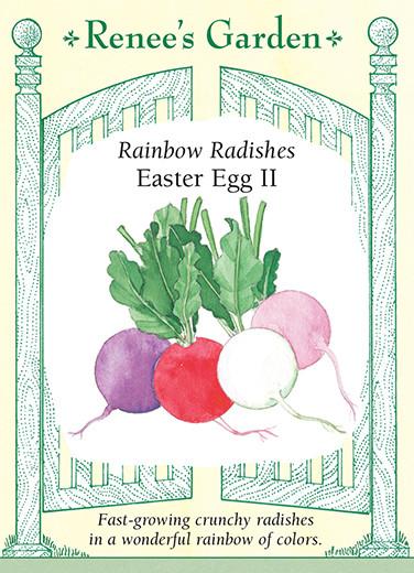 Radish Easter Egg II Mix