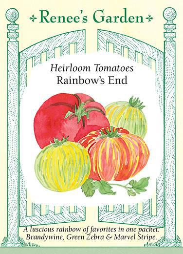 Tomato 3-Colors Rainbow's End
