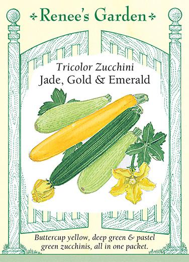 Squash Zucchini Tricolor Mix
