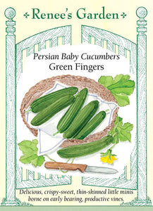 Cucumber Green Fingers Persian