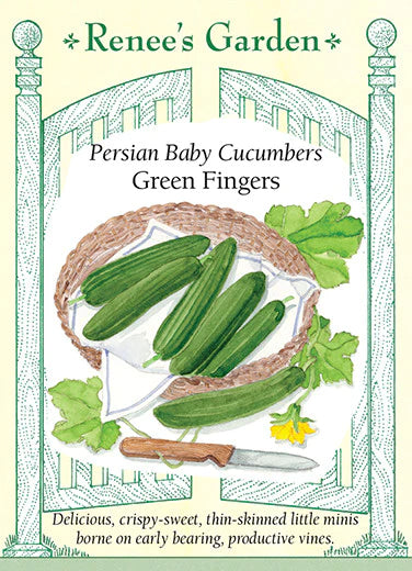 Cucumber Green Fingers Persian