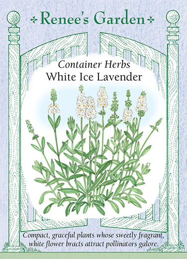 Lavender White Ice Container