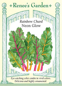 Chard 2-Color Neon Glow Mix