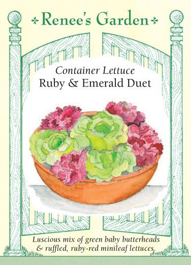 Lettuce Container Ruby & Emerald Duet