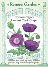 Load image into Gallery viewer, Poppy Lauren&#39;s Dark Grape
