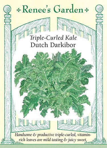 Kale Triple-Curled Darkibor 