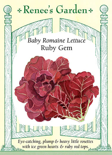 Lettuce Ruby Gem Baby Romaine