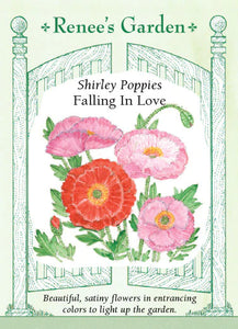 Poppy Shirley Falling in Love