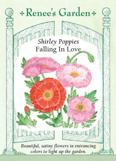 Poppy Shirley Falling in Love