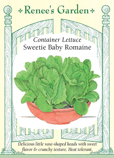Lettuce Romaine Sweetie Baby