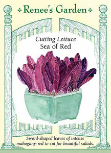 Lettuce Sea of Red