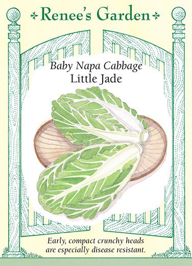 Cabbage Baby Napa Little Jade