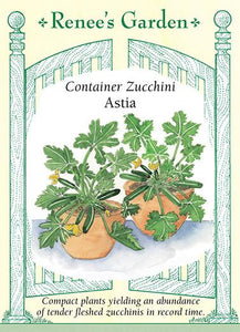 Squash Zucchini Container Astia