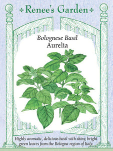 Basil Aurelia Bolognese