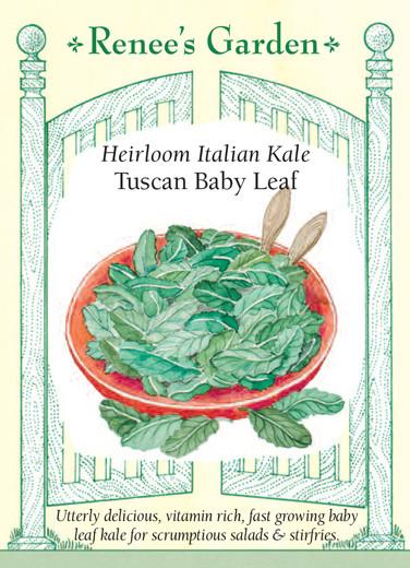  Kale Baby Leaf Tuscan