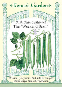 Bean Bush Container Castandel Weekend