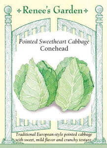  Cabbage Conehead