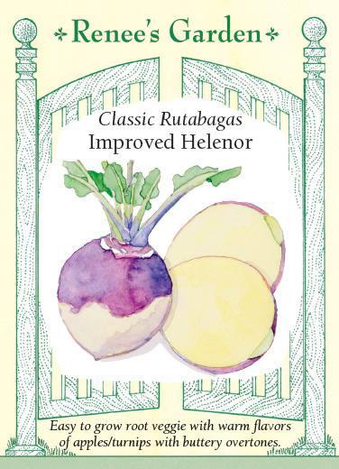 Rutabaga Helenor
