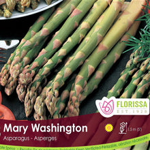 Load image into Gallery viewer, Asparagus - Mary Washington
