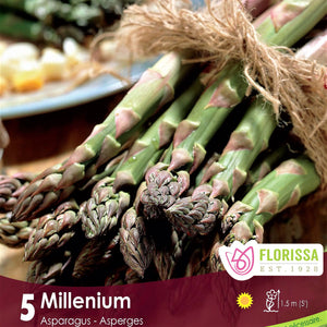 Asparagus - Millennium