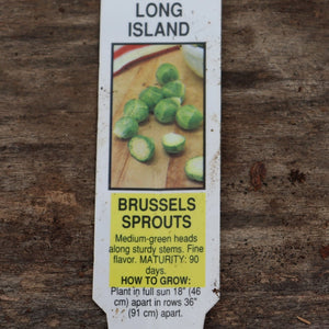 Brussel Sprouts - Long Island Green