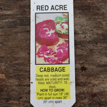 Load image into Gallery viewer, Cabbage - Red Arce
