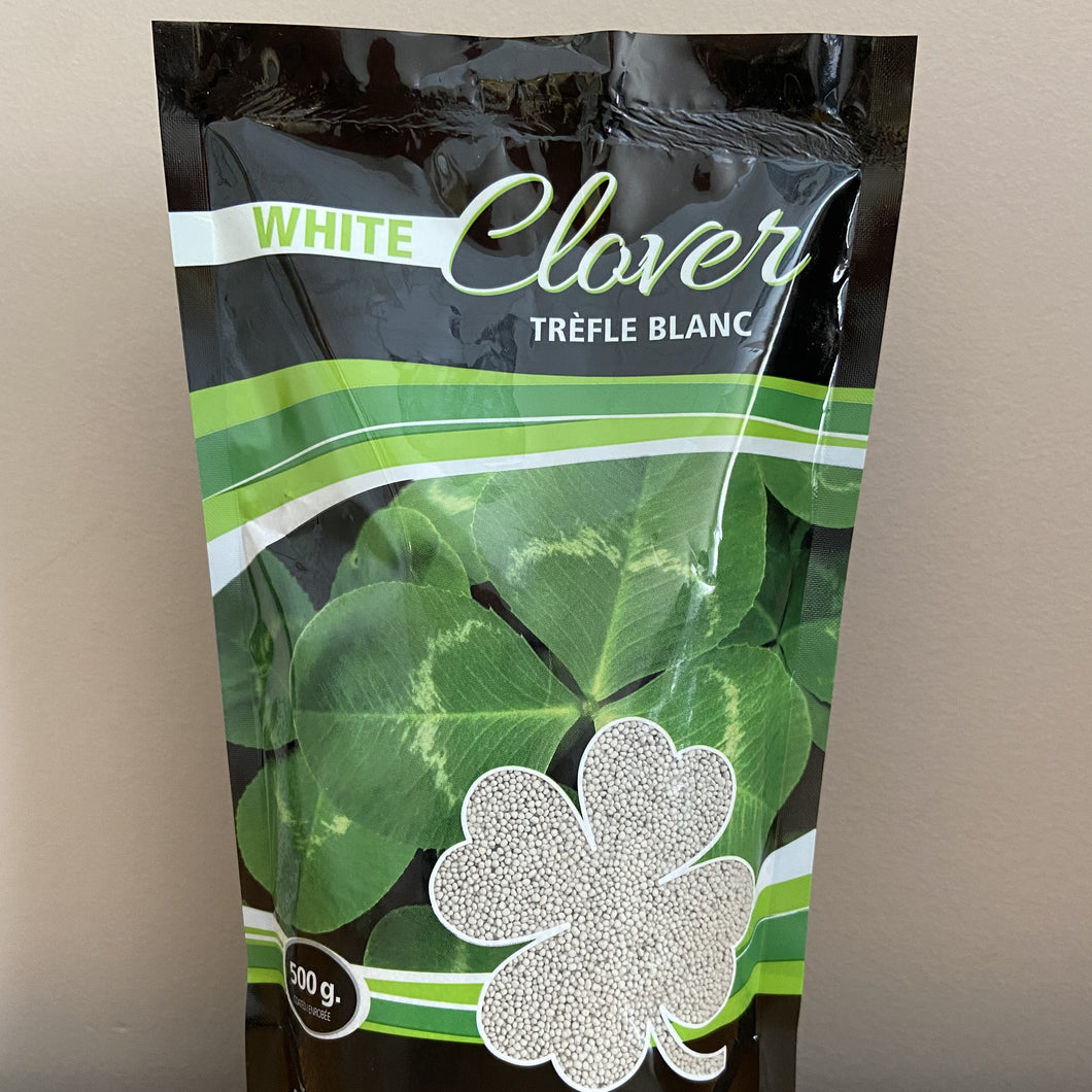 Seed - White Clover