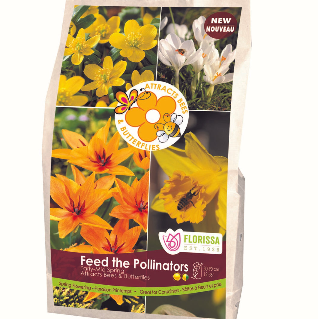 Spring Flowering Bulb - Feed the Pollinators Collection
