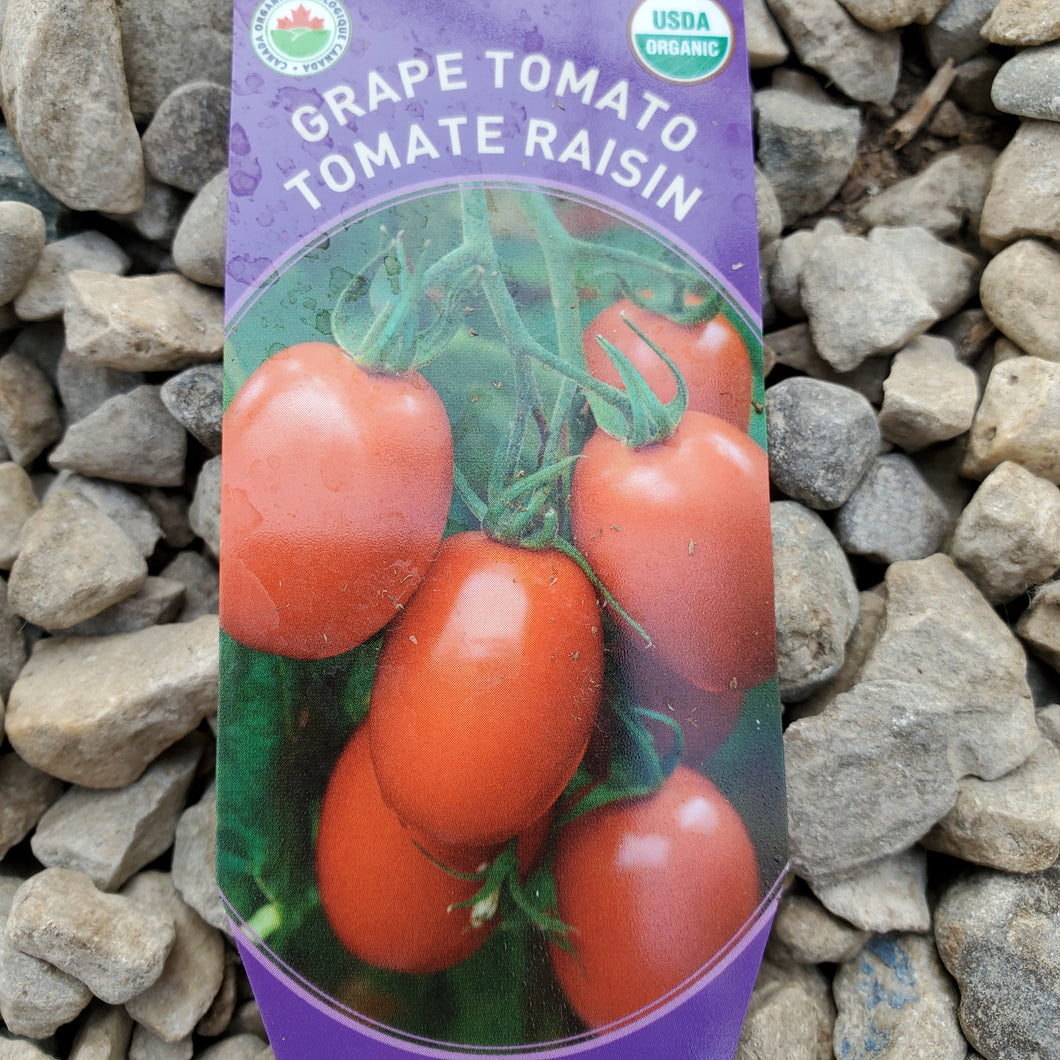 Tomato - Grape - Certified Organic