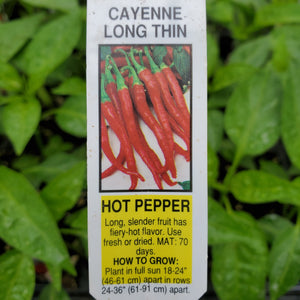 Pepper, Hot - Cayenne Long Thin
