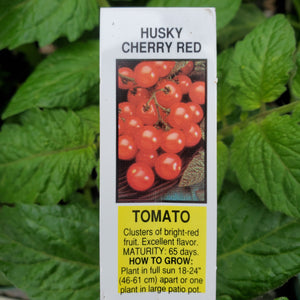 Tomato - Husky Cherry Red