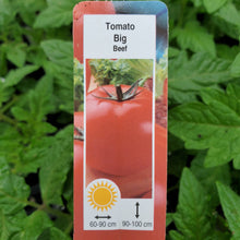 Load image into Gallery viewer, Tomato - Big Beef
