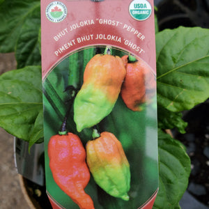 Pepper - Ghost, Bhut Jolokia - Certified Organic