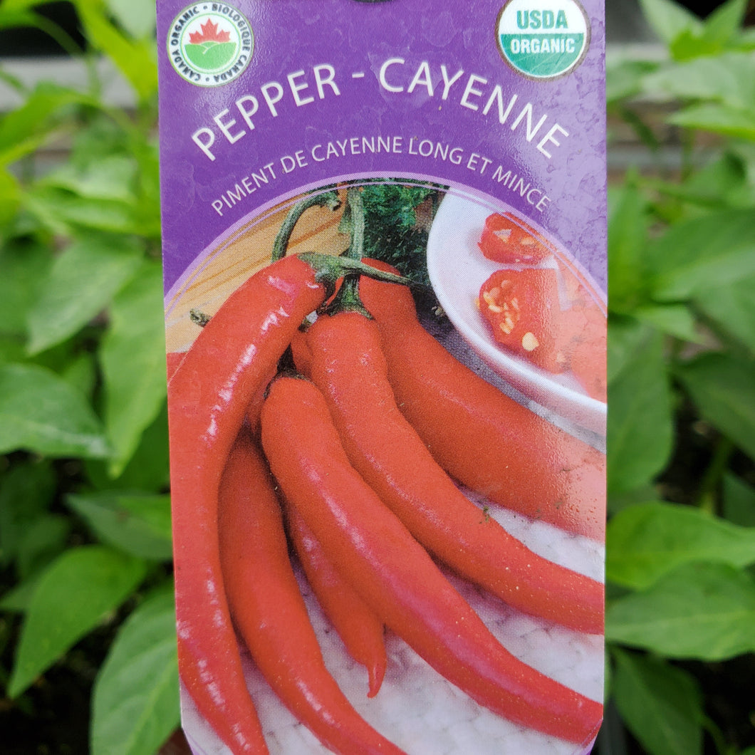 Pepper - Cayenne, Long Slim - Certified Organic