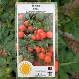 Tomato - Patio